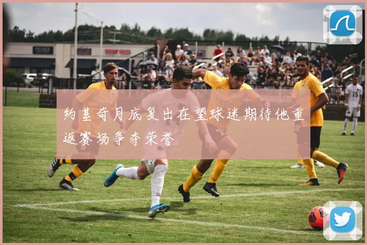 约基奇月底复出在望球迷期待他重返赛场争夺荣誉