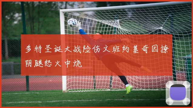 多特圣诞大战险伤文班约基奇因撩阴腿怒火中烧