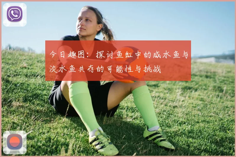 今日趣图：探讨鱼缸中的咸水鱼与淡水鱼共存的可能性与挑战