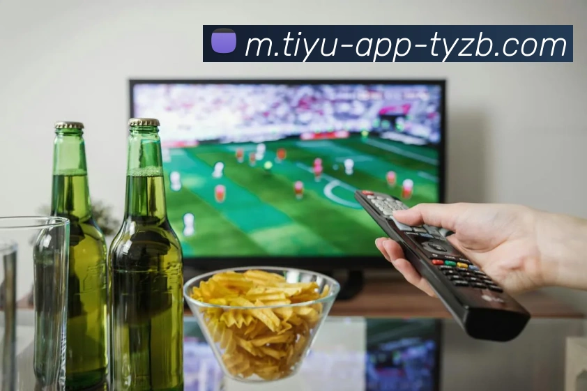 多媒体互动体验