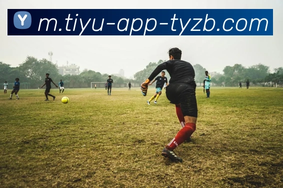 太阳城APP 高清赛事图